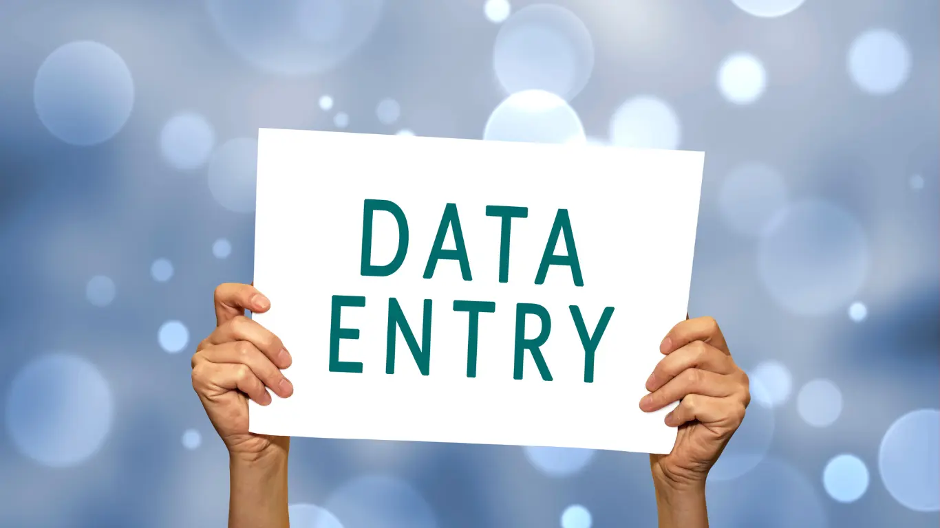 Data Entry Services for 1 hour, delivery in 1 day - freelance service in Data  Entry