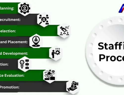 Staffing Process: Meaning, Types, and Key Steps Explained